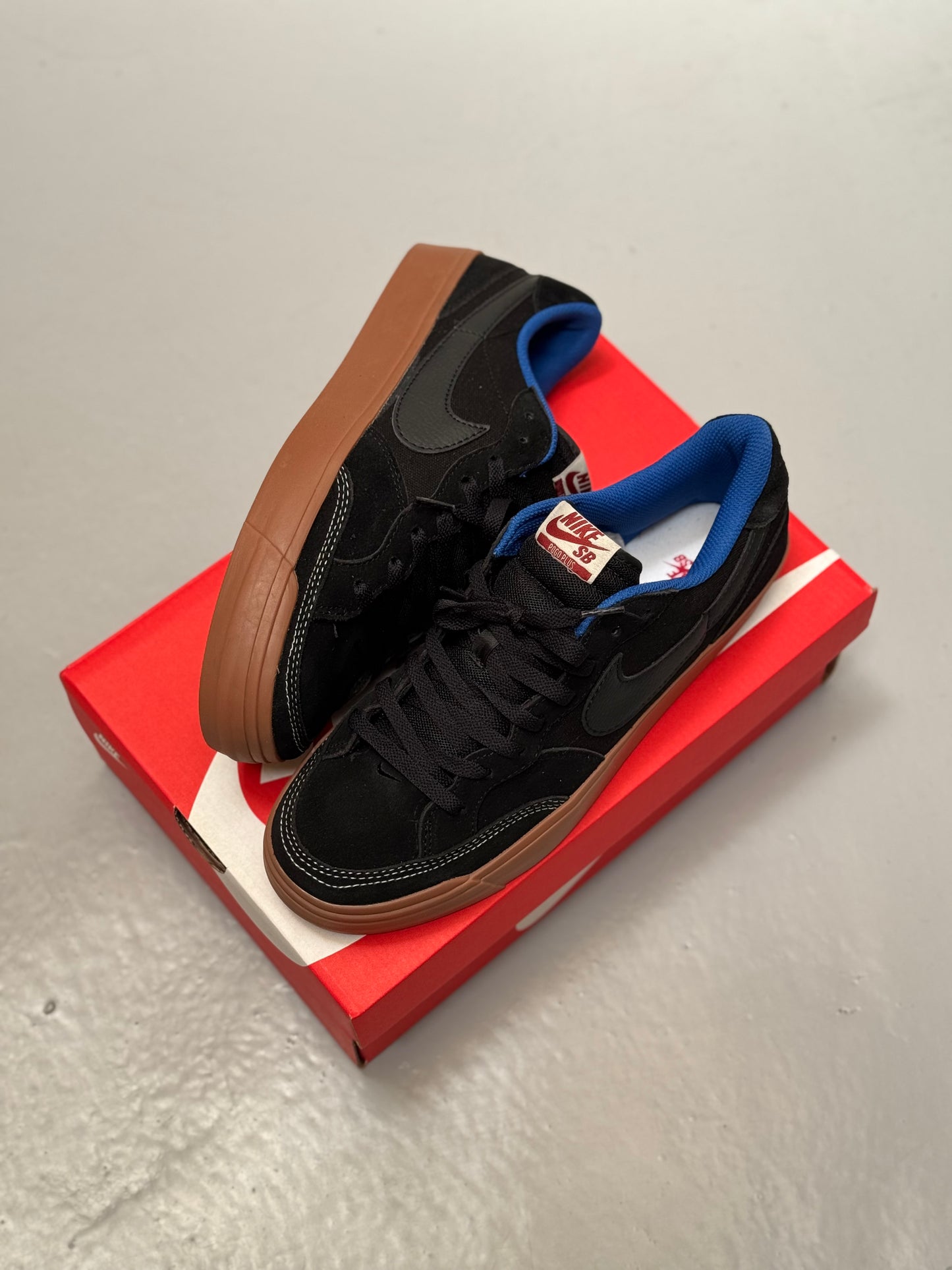 Nike SB Zoom Pogo Puls Lowtop