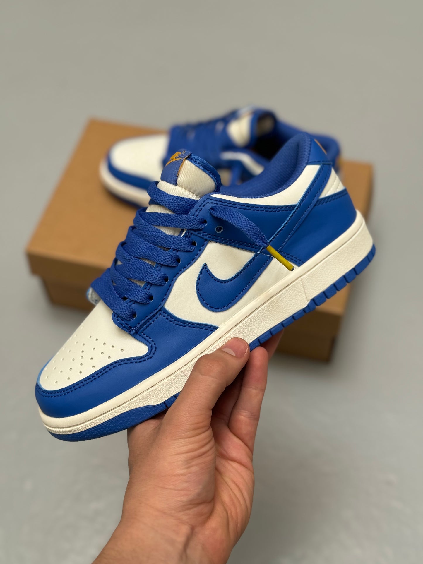 Nike SB Dunk Low Blue