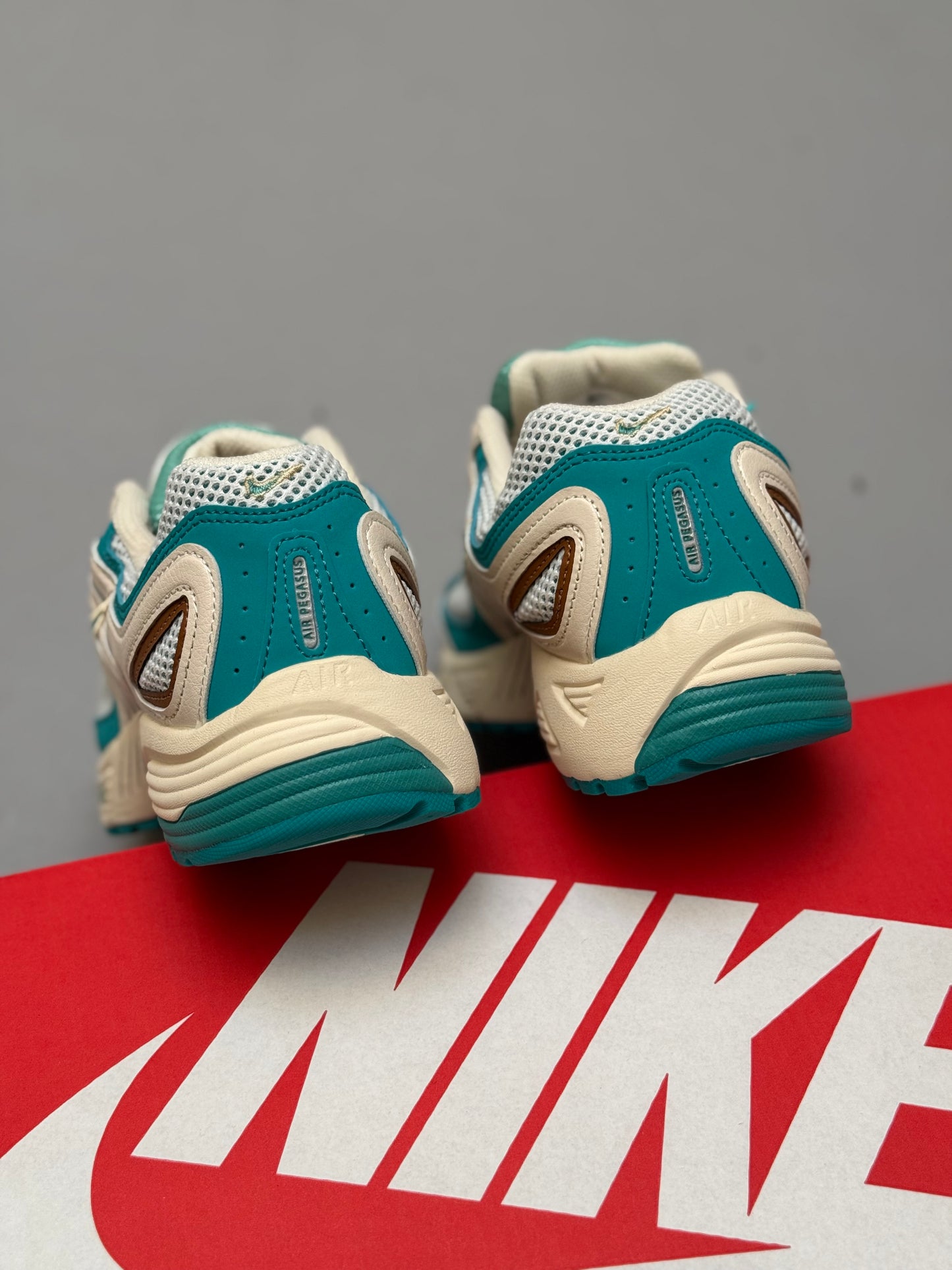 Nike Air Pegasus 2005