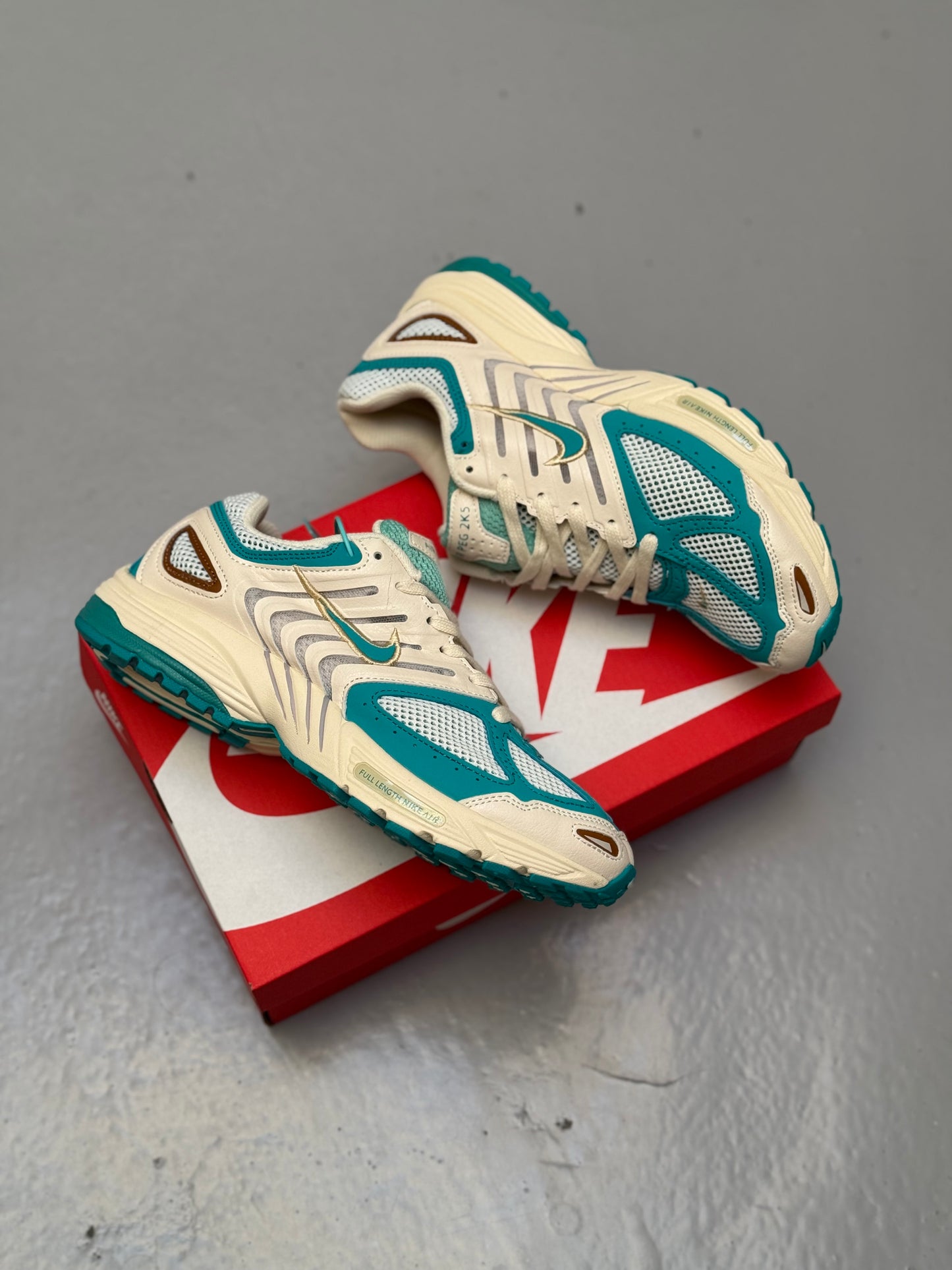 Nike Air Pegasus 2005