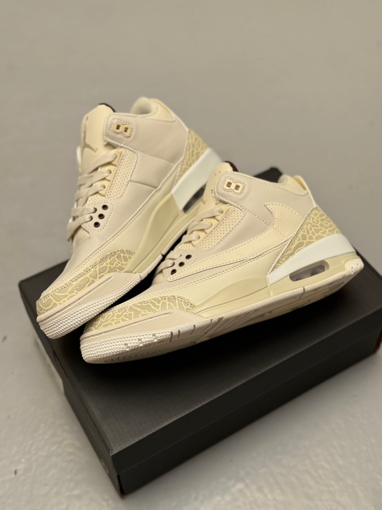 Jordan Retro 3 x Travis Scott