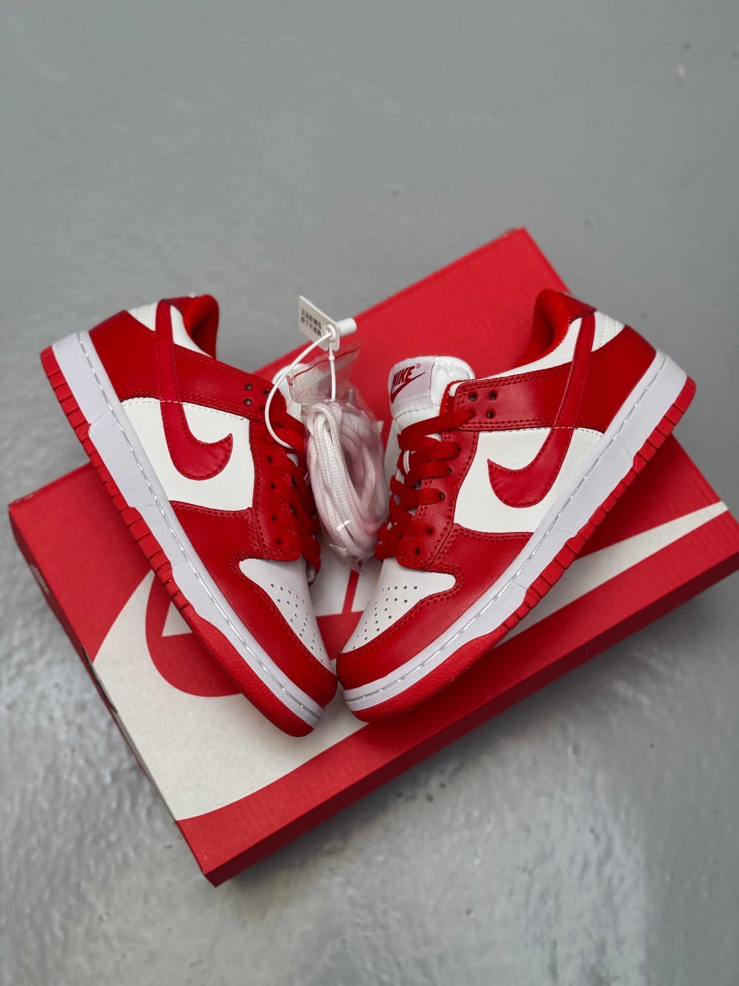 Nike SB Dunk Red