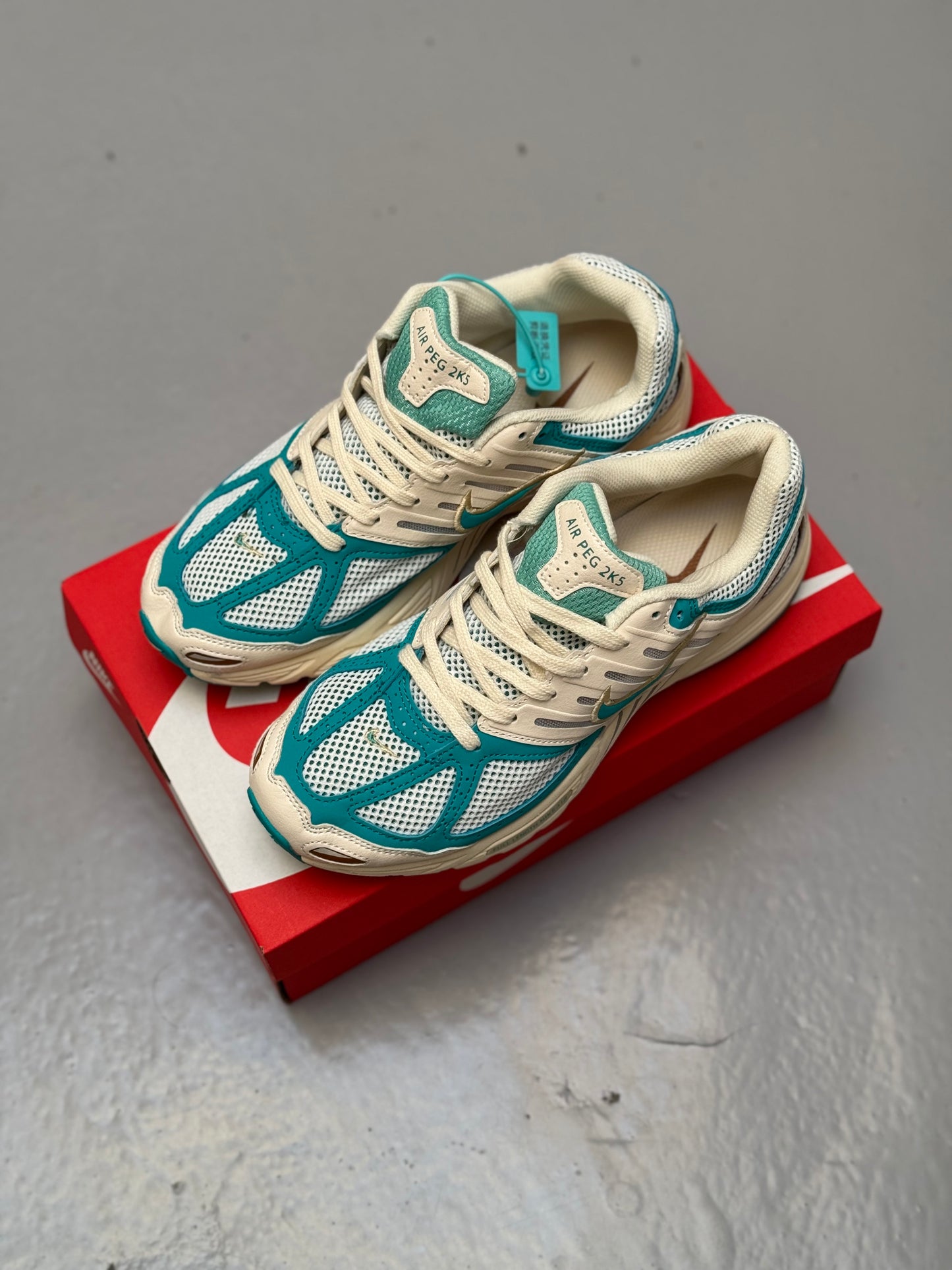 Nike Air Pegasus 2005