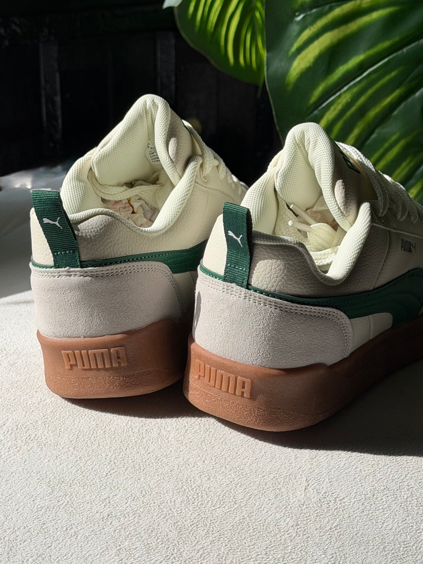 Puma Park