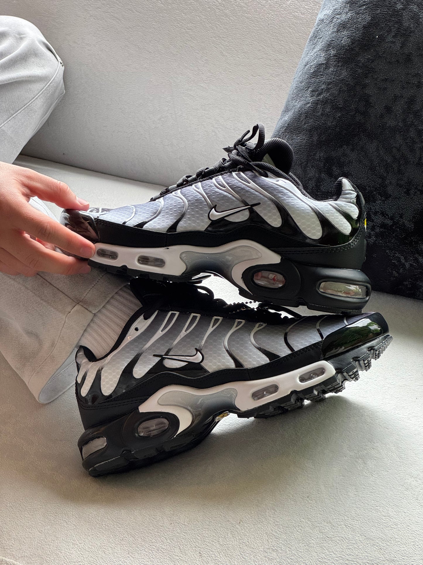Nike Air Max Plus TN