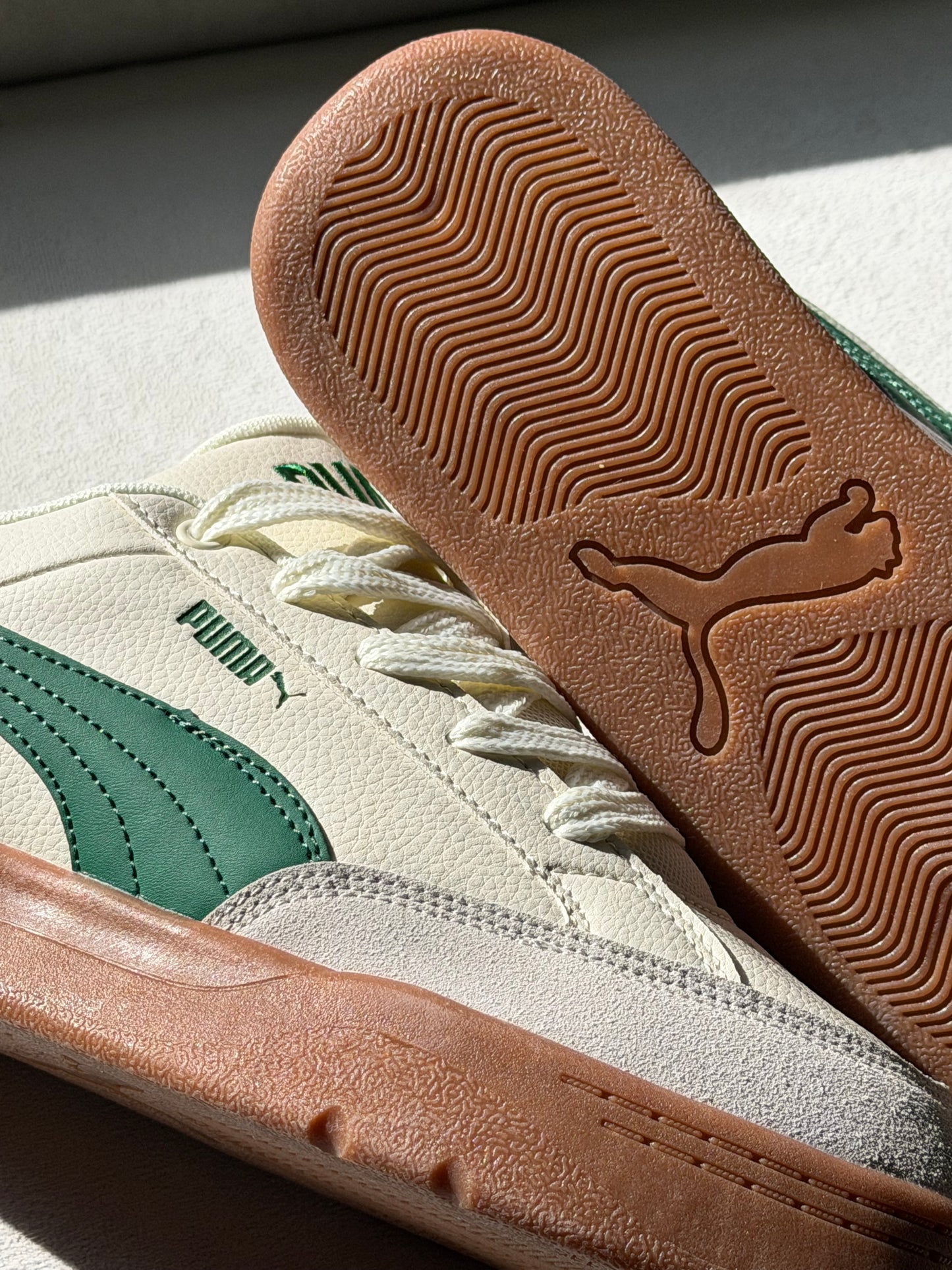 Puma Park