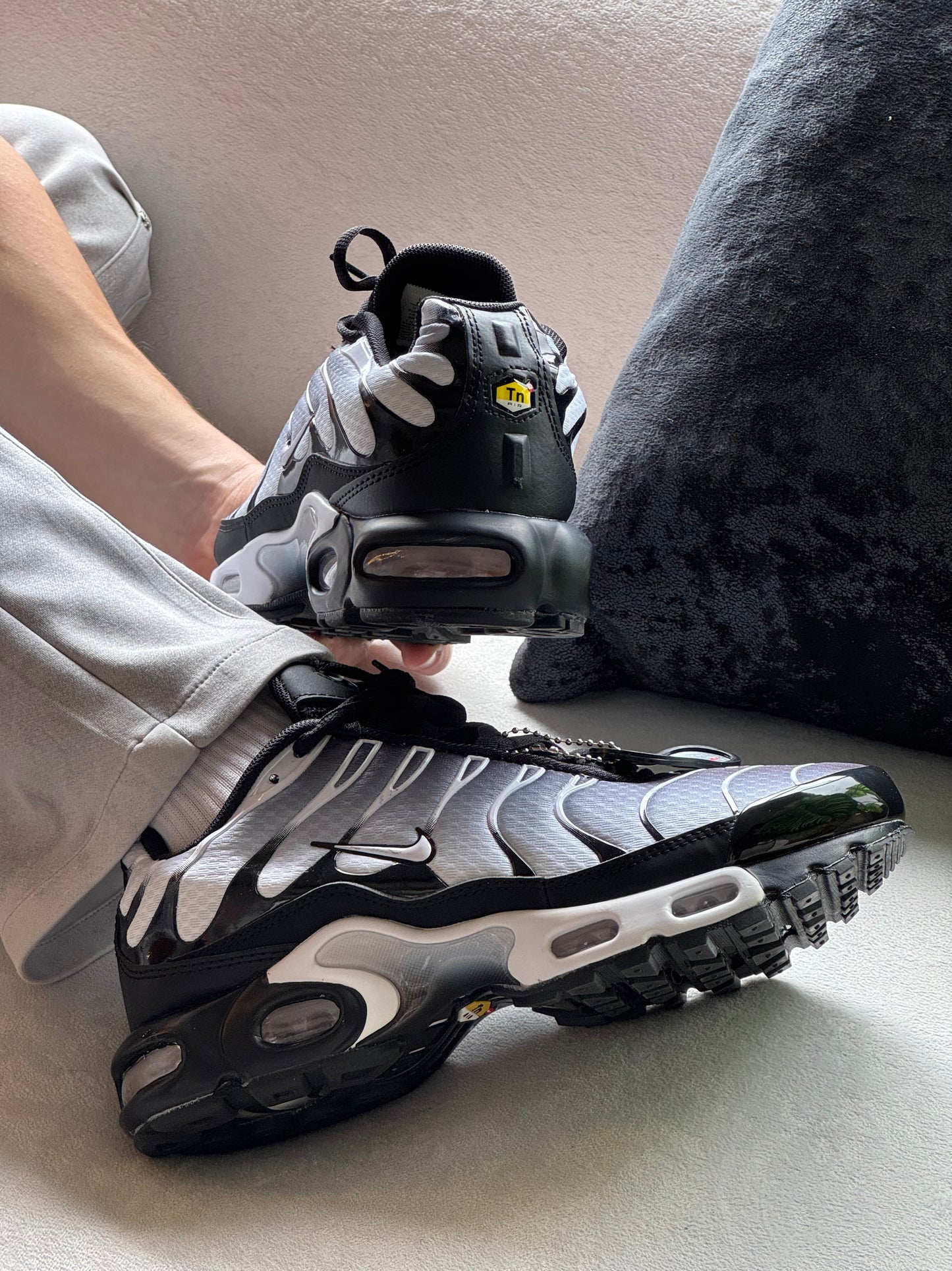 Nike Air Max Plus TN