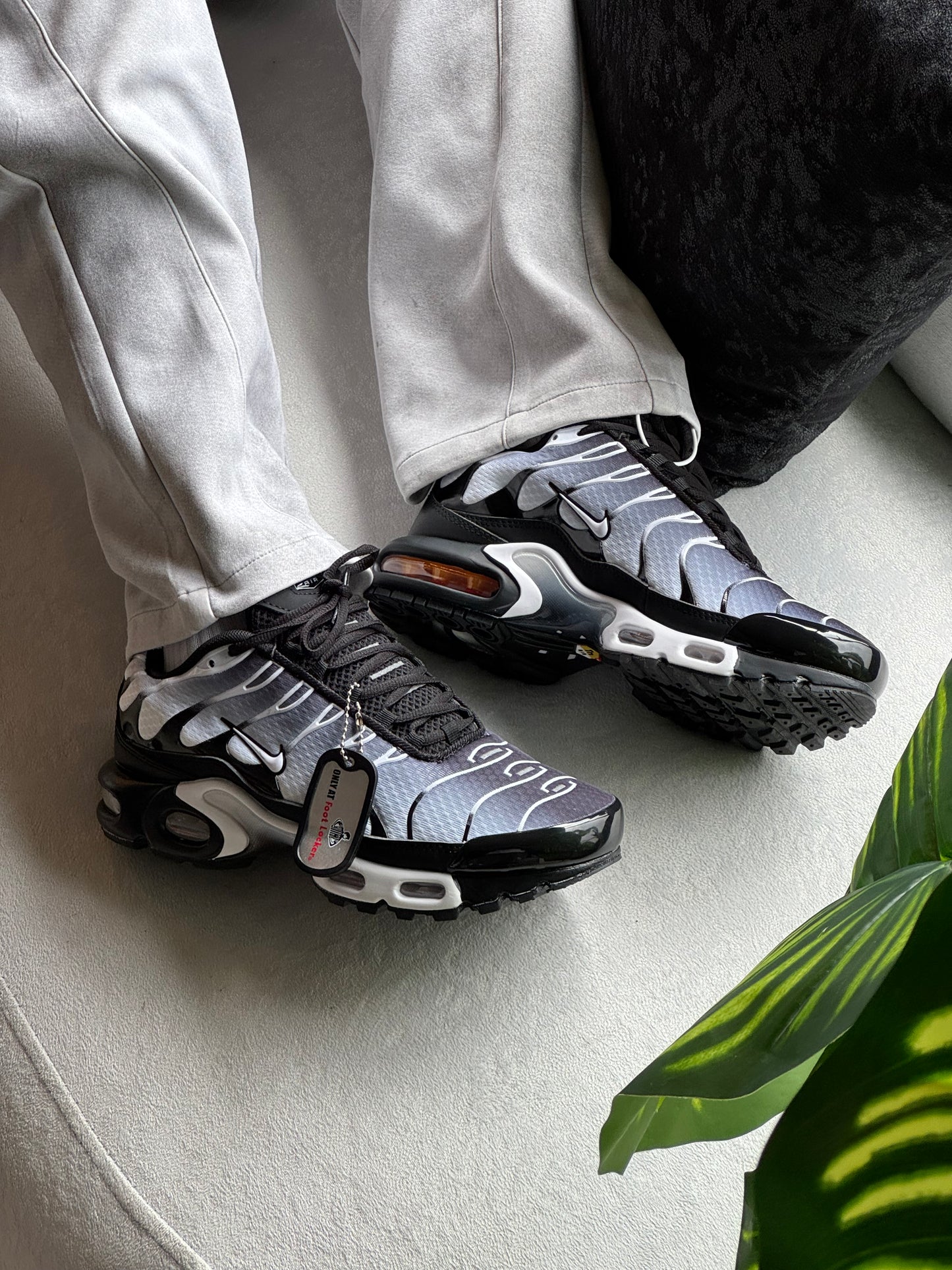 Nike Air Max Plus TN