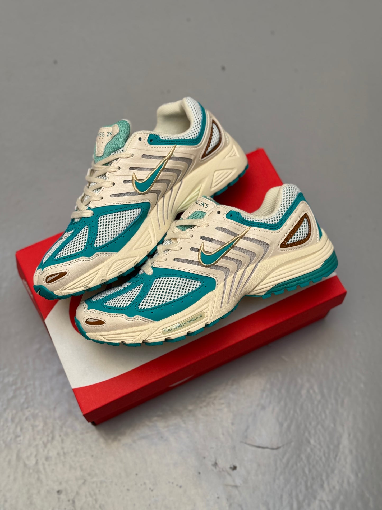 Nike Air Pegasus 2005