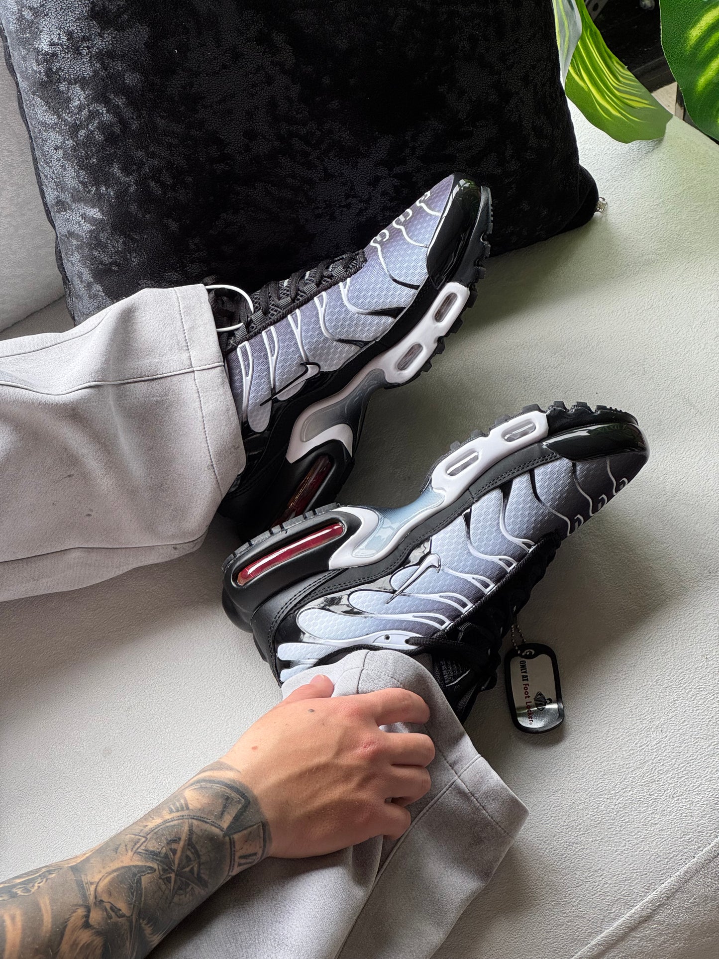 Nike Air Max Plus TN