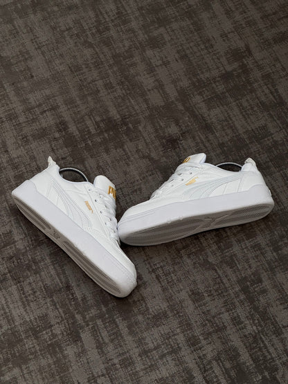 Puma Park Blancas