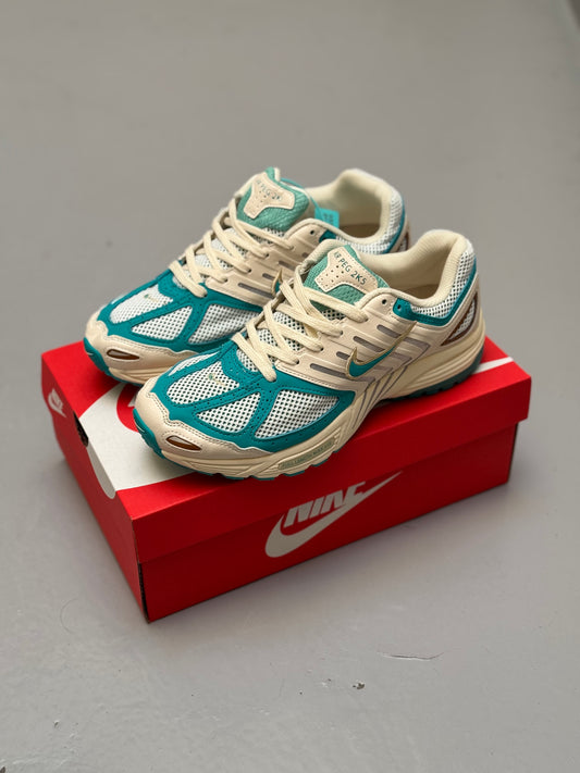 Nike Air Pegasus 2005